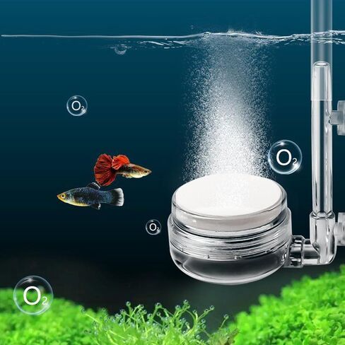 2 قطعة حوض السمك حجر الهواء خزان الأسماك نانو فقاعة الحجر عدة مع صمام التحكم وكأس الشفط هادئ حوض السمك الناشر للزراعة المائية in Kuwait