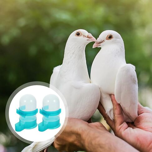 قطعتان من وحدة تغذية الطيور الأوتوماتيكية من Baluue، موزع طعام الببغاوات، حاوية توزيع حبوب الطعام الشفافة، ملحق تغذية قفص الطيور لببغاء الهامستر 415 مل in Kuwait