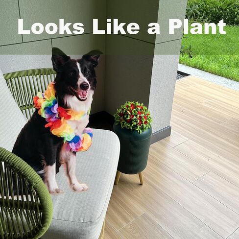 Dog Poop Trash Can Outside - 2.5 Gal Outdoor Poop Garbage Can - Small Pet Waste Container with Lid - Front Porch, Backyard, Waste Bin for Dog Poop - Plant Styled Dog Poop Bucket - Green in Saudi Arabia