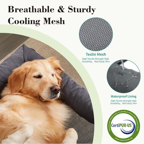 Cooling Elevated Dog Bed with Pillows,Portable Washable Raised Dog Cot Bed with Chew Proof Mesh and Metal Frame,No-Slip Rubber Feet for Indoor & Outdoor Use,Large,Deep Grey in Kuwait
