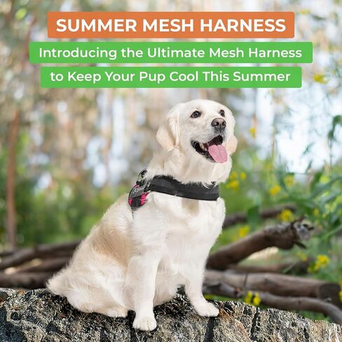 سترة Joyride Harness Summer Mesh - 2.0 حزام بدون سحب للكلاب - سترة قابلة للتعديل وجيدة التهوية - تتضمن علامة اسم مخصصة - مثالية للكلاب الصغيرة والمتوسطة والكبيرة in Kuwait