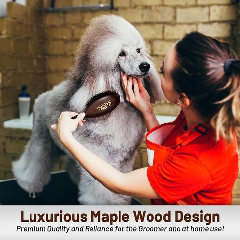 Kenchii Boar and Nylon Bristle Dog/Cat Grooming Brush with One-Piece Maple Body-Choose Size Large, Small (Small) in Saudi Arabia