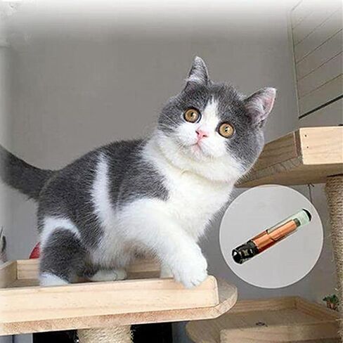 Universal Pet Microchip Animals Implant Chip 134.2khz Registration FDX-B Pet ID Microchip for The Management of Dog Cat Cow Pig Rabbit Pigeon Fish (1pc, 2.12x12mm) in Kuwait