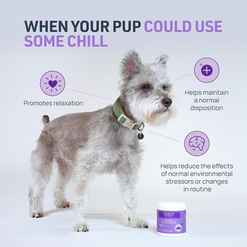 Veterinary Formula Smart Vitality Pet Calm Supplement for Dogs - Soft Chews, 30ct - Promotes a Sense of Relaxation During Moments That May Cause Stress - Fireworks, Travel, Changes in Routine in Saudi Arabia