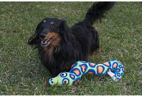 Petmate Classic Incredible Strapping Yankers Dog Toy in Kuwait