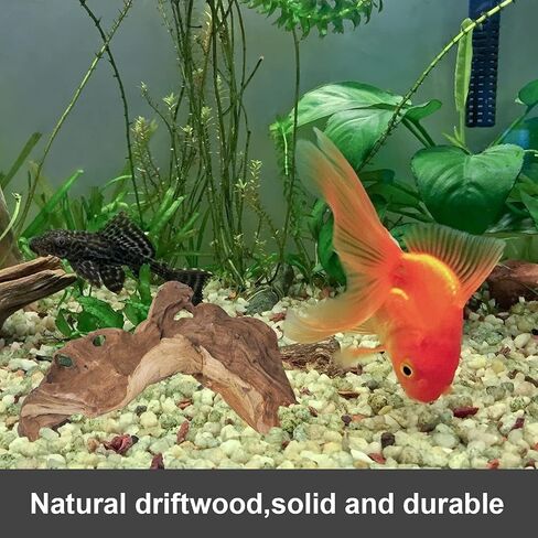 Aucks Natural Large Driftwood for Fish Tank Decoration,12 Inch-13.5 Inch Pack of 2 Pieces, Driftwood for Aquarium Reptile Decor in Saudi Arabia