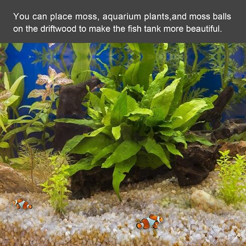 Aucks Natural Large Driftwood for Fish Tank Decoration,12 Inch-13.5 Inch Pack of 2 Pieces, Driftwood for Aquarium Reptile Decor in Saudi Arabia