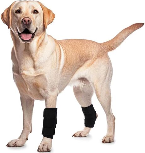 ROZKITCH Dog Leg Protector for Rear Hock Joint or Front Leg Brace, 1 Pair of Dog Leg Compression Wrap Sleeve for Anti Licking Carpal Support Ankle Support Protect Injury Sprain Torn ACL CCL Black S in Saudi Arabia