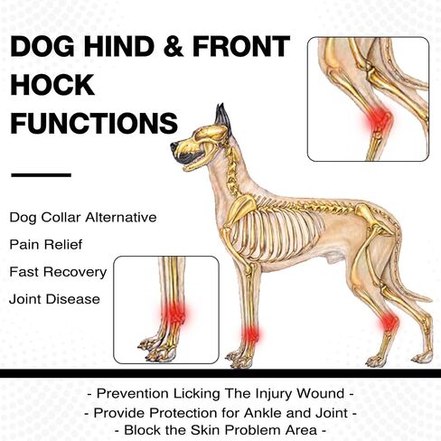 ROZKITCH Dog Leg Protector for Rear Hock Joint or Front Leg Brace, 1 Pair of Dog Leg Compression Wrap Sleeve for Anti Licking Carpal Support Ankle Support Protect Injury Sprain Torn ACL CCL Black S in Saudi Arabia