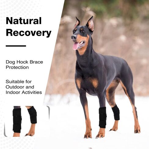 ROZKITCH Dog Leg Protector for Rear Hock Joint or Front Leg Brace, 1 Pair of Dog Leg Compression Wrap Sleeve for Anti Licking Carpal Support Ankle Support Protect Injury Sprain Torn ACL CCL Black S in Saudi Arabia