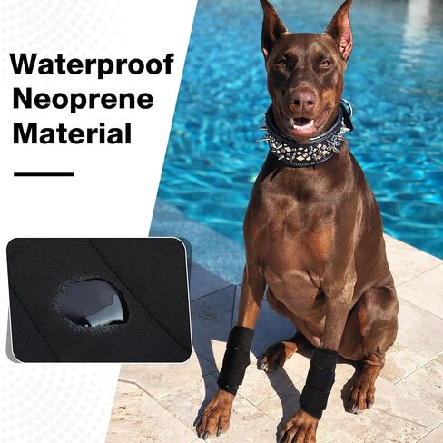 ROZKITCH Dog Leg Protector for Rear Hock Joint or Front Leg Brace, 1 Pair of Dog Leg Compression Wrap Sleeve for Anti Licking Carpal Support Ankle Support Protect Injury Sprain Torn ACL CCL Black S in Saudi Arabia