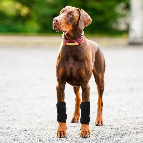 ROZKITCH Dog Leg Protector for Rear Hock Joint or Front Leg Brace, 1 Pair of Dog Leg Compression Wrap Sleeve for Anti Licking Carpal Support Ankle Support Protect Injury Sprain Torn ACL CCL Black S in Saudi Arabia