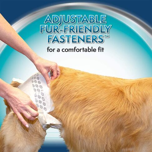 Simple Solution Disposable Dog Diapers for Female Dogs | Super Absorbent Leak-Proof Fit | Large | 12 Count (Pack of 1) in Kuwait