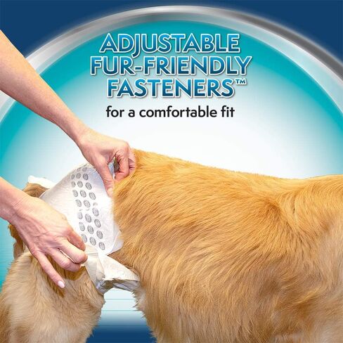Simple Solution Disposable Dog Diapers for Female Dogs | Super Absorbent Leak-Proof Fit | Large | 12 Count (Pack of 1) in Kuwait