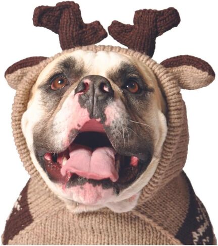 Chilly Dog Black Polka Dot Dog Sweater (Small) in Saudi Arabia