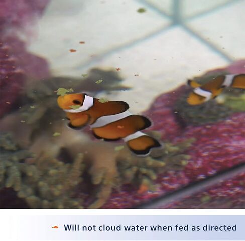 أكيون مارين فليك لون الطعام المعزز، 1.02 أونصة in Kuwait