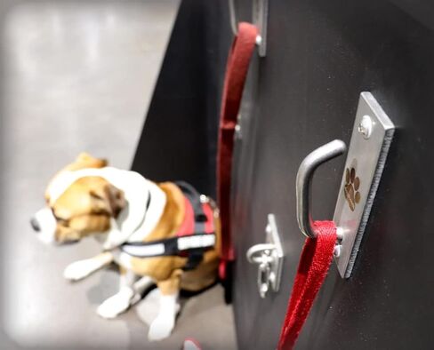 Dog Leash Hook - Compact - Hooks for Wall - Hanger for Leashes - Safety Pet Holder - Metal Dogleash Holders - Wood Mount - Mounted Hangers for Pets in Saudi Arabia