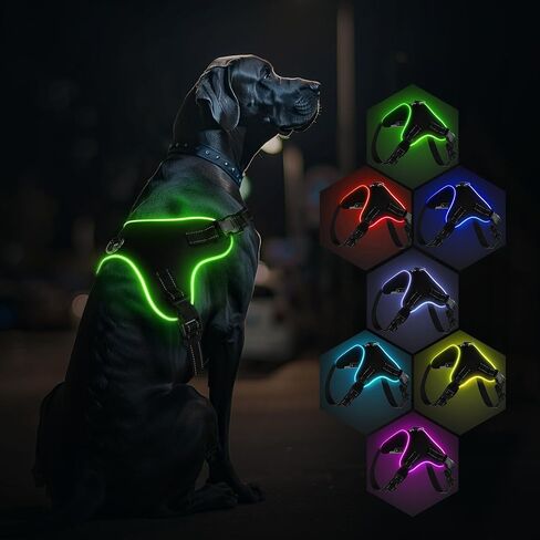 Light Up Dog Harness No Pull Dog Harness Rechargeable Lighted Pet Vest Harness for Night Walking, Reflective Dog Vest Glow Dog Collar, Adjustable Soft Padded Leash, 7 Colors Changing, 3 LED Modes in Saudi Arabia