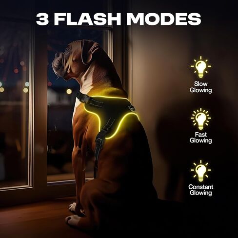 Light Up Dog Harness No Pull Dog Harness Rechargeable Lighted Pet Vest Harness for Night Walking, Reflective Dog Vest Glow Dog Collar, Adjustable Soft Padded Leash, 7 Colors Changing, 3 LED Modes in Saudi Arabia