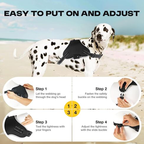 Light Up Dog Harness No Pull Dog Harness Rechargeable Lighted Pet Vest Harness for Night Walking, Reflective Dog Vest Glow Dog Collar, Adjustable Soft Padded Leash, 7 Colors Changing, 3 LED Modes in Saudi Arabia