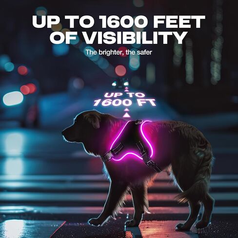 Light Up Dog Harness No Pull Dog Harness Rechargeable Lighted Pet Vest Harness for Night Walking, Reflective Dog Vest Glow Dog Collar, Adjustable Soft Padded Leash, 7 Colors Changing, 3 LED Modes in Saudi Arabia
