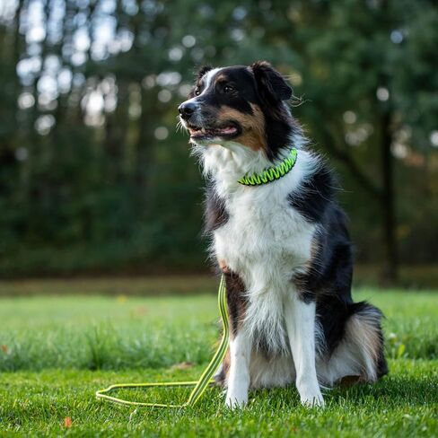 Herm Sprenger - Heavy Duty Rubberized Nylon Reflective Dog Leash 6 Feet – Safety Control No Slip Grip Loop Handle No-Tangle 360 Swivel – Comfort Lead for Small Medium Dogs (Black) in Saudi Arabia