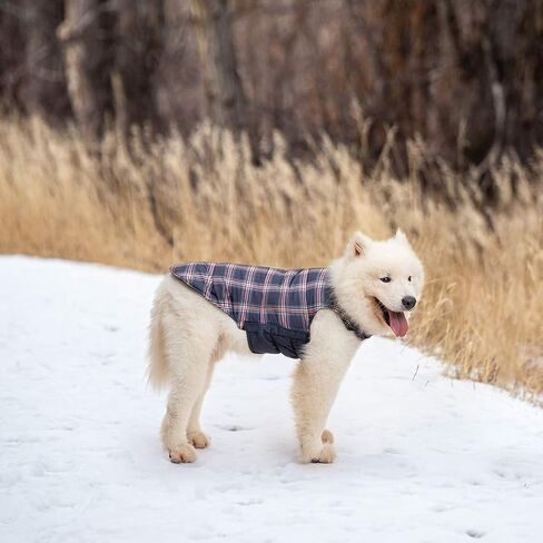 PAWCHIE Dog Winter Coat - Reversible Winter Jacket Cold Weather Clothes for Dogs, Warm Coat Waterproof & Windproof, Soft Comfortable for Medium Large Dogs Wearing in Saudi Arabia