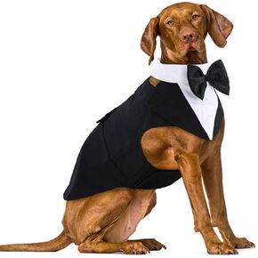 Dog Tuxedo & Bandana Set, Cat Dogs, Party Suit Puppy Wedding Bow Tie Shirt, Formal Attire Clothes, for French Bulldog, Corgi, Pug, Teddy, Schnauzer, Golden Retriever,Labrador (Medium)