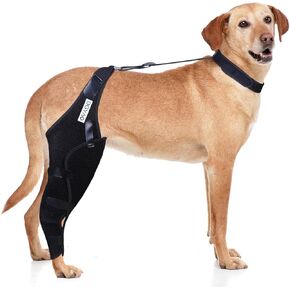 Dog Knee Brace for ACL, Knee Cap Dislocation, Arthritis - Full Wrap - Easy Adjustable - Extra Support - Reduces Pain and Inflammation – Full Sizes, Right- XL