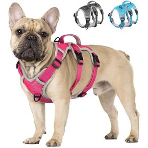 Beirui Escape Proof Dog Harness, No Pull Dog Harness,Reflective Dog Harness with Handle, Breathable,Durable, Adjustable Vest for Small Dogs Outdoor Walking(Blue,Chest 17-21")