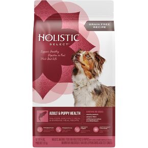 Holistic Select Natural Grain Free Dry Dog Food, Adult & Puppy Salmon, Anchovy & Sardine Recipe, 24-Pound Bag