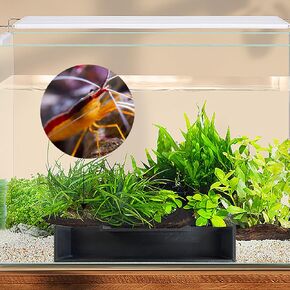 Aquarium Shrimp Tunnel Cave, Fish Tank Decorations, Betta Fish Tank Accessories, Set of 2 Aquarium Decorations (PETG-Black)