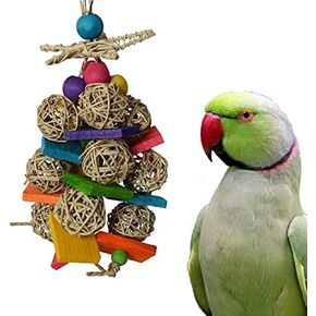 Super Bird Creations Starburst Bird Toy - Colorful Bird Toy for Medium Parrots, Cockatiels, Conures & Parakeets, Cockatiel Toy, Budgie Toys, Bird Toys, Bird Entertainment, Medium Bird Size, 10" x 4"