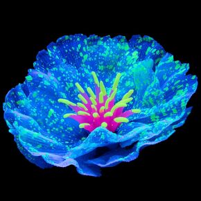 Fish Tank Decorations Anemone Flower Aquarium Decorations Glowing Aquatic Plants Betta Fish Tank Decor Artificial Silicone Ornament with Glowing Effect for Fish Tank Landscape Decoration (G)