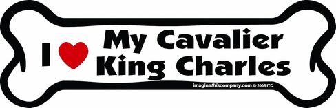 Bone Car Magnet, I Love My Cavalier King Charles, 2-Inch by 7-Inch in Saudi Arabia