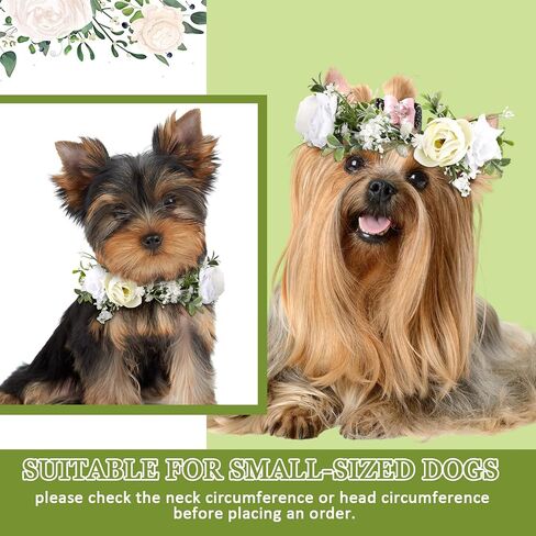 2 Pcs Dog Flower Collar Wedding and Leash Set Pearls for Dogs 120 cm 4 ft Pearls Beaded Dog Leash Dog Collar Bows for Wedding Adjustable for Medium Dogs Floral Collars Pet (Small) in Kuwait