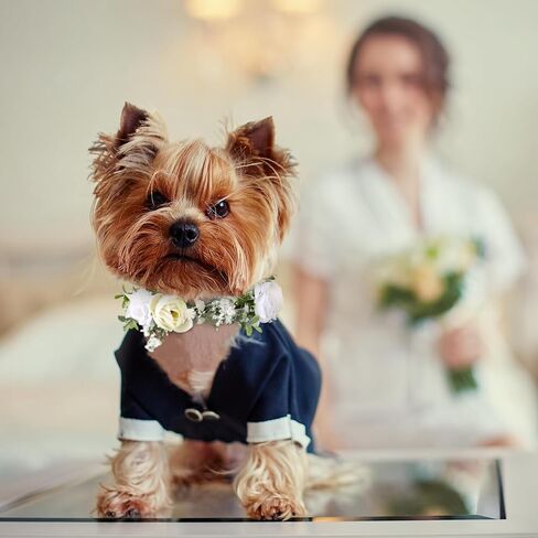 2 Pcs Dog Flower Collar Wedding and Leash Set Pearls for Dogs 120 cm 4 ft Pearls Beaded Dog Leash Dog Collar Bows for Wedding Adjustable for Medium Dogs Floral Collars Pet (Small) in Kuwait