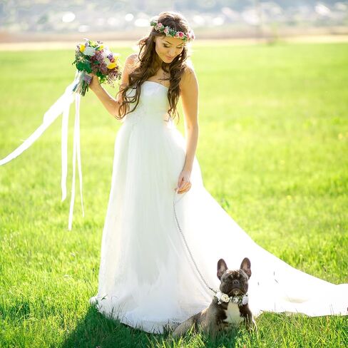 2 Pcs Dog Flower Collar Wedding and Leash Set Pearls for Dogs 120 cm 4 ft Pearls Beaded Dog Leash Dog Collar Bows for Wedding Adjustable for Medium Dogs Floral Collars Pet (Small) in Kuwait