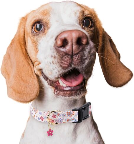 Dog Collar,Personalized Adjustable Cute Puppy Collars for Girl Female Boy Dogs Bee Patterned Design,Soft Pet Collar with Safe Buckle for Small Medium Large Dog. (Yellow Bee, L) in Saudi Arabia
