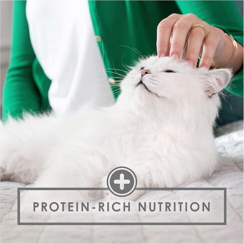 Purina Fancy Feast Wet Cat Food for Kittens, Tender Chicken Feast, Made with Real Milk, Wet Kitten Food with Complete & Balanced Nutrition, 3 OZ Can (Pack of 12) in Saudi Arabia