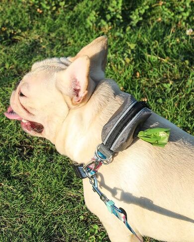 Dog Poop Bag Dispenser For Leash with Reflective Strip, Waste Bags Carrier, Improved Elastic Strap, Metal Buckle, YKK Smooth Zipper (Grey) in Saudi Arabia