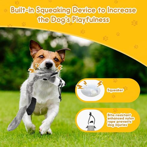 عصا مغازلة للكلاب، عصا مغازلة قابلة للسحب مع طعم، لعبة تفاعلية للكلاب للتدريب في الهواء الطلق، عصا مغازلة مقاس 40 بوصة للكلاب الصغيرة والمتوسطة والكبيرة in Kuwait