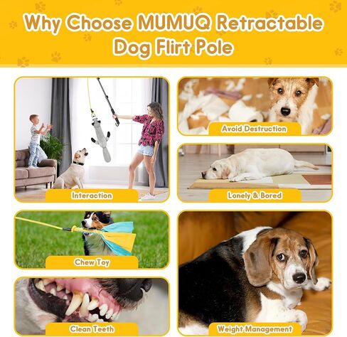 عصا مغازلة للكلاب، عصا مغازلة قابلة للسحب مع طعم، لعبة تفاعلية للكلاب للتدريب في الهواء الطلق، عصا مغازلة مقاس 40 بوصة للكلاب الصغيرة والمتوسطة والكبيرة in Kuwait