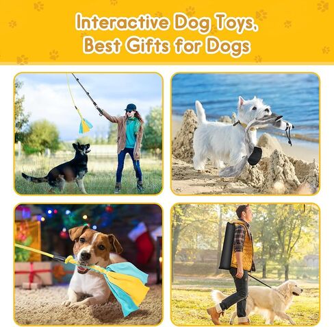 عصا مغازلة للكلاب، عصا مغازلة قابلة للسحب مع طعم، لعبة تفاعلية للكلاب للتدريب في الهواء الطلق، عصا مغازلة مقاس 40 بوصة للكلاب الصغيرة والمتوسطة والكبيرة in Kuwait