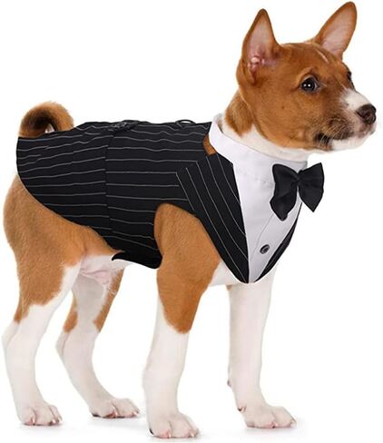 Dog Tuxedo & Bandana Set, Cat Dogs, Party Suit Puppy Wedding Bow Tie Shirt, Formal Attire Clothes, for French Bulldog, Corgi, Pug, Teddy, Schnauzer, Golden Retriever,Labrador (Medium) in Saudi Arabia