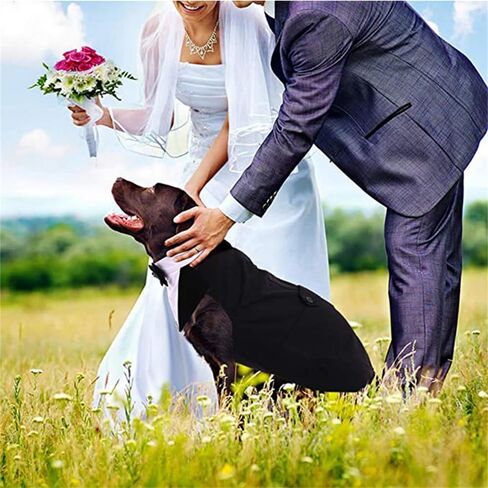Dog Tuxedo & Bandana Set, Cat Dogs, Party Suit Puppy Wedding Bow Tie Shirt, Formal Attire Clothes, for French Bulldog, Corgi, Pug, Teddy, Schnauzer, Golden Retriever,Labrador (Medium) in Saudi Arabia