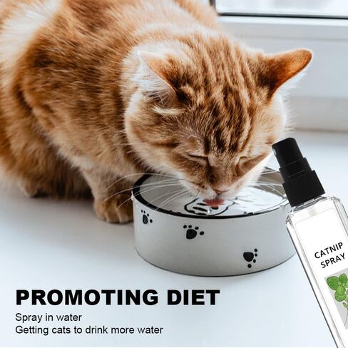 HOURY Herbal Cat Joy Spray، رذاذ النعناع البري للقطط الداخلية، فرحة القطط العشبية، الحيوانات الأليفة العشبية لفرحة القطط، رذاذ تدريب القطط مع النعناع البري، تخفيف قلق القطط (100 مل) in Saudi Arabia