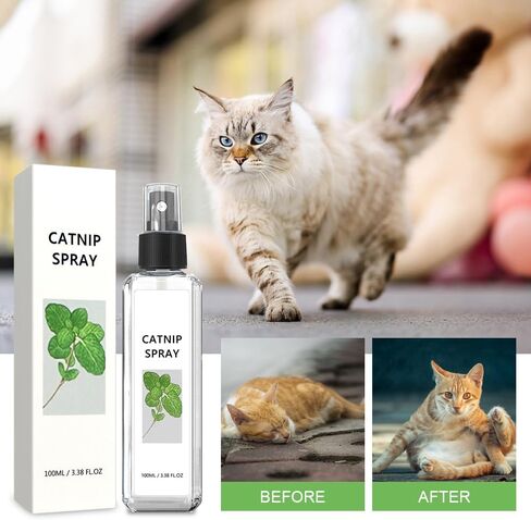 HOURY Herbal Cat Joy Spray، رذاذ النعناع البري للقطط الداخلية، فرحة القطط العشبية، الحيوانات الأليفة العشبية لفرحة القطط، رذاذ تدريب القطط مع النعناع البري، تخفيف قلق القطط (100 مل) in Saudi Arabia