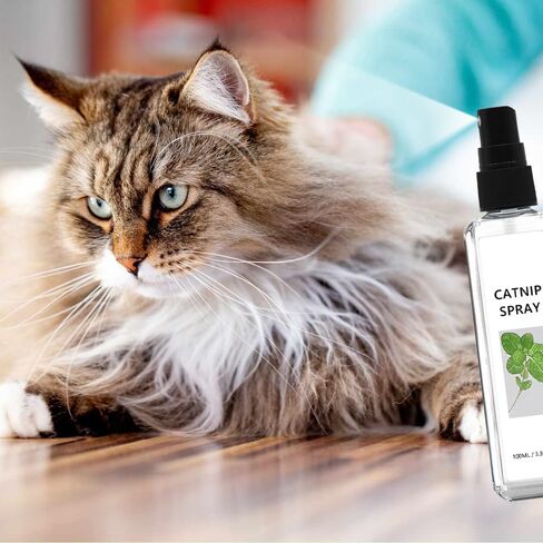 HOURY Herbal Cat Joy Spray، رذاذ النعناع البري للقطط الداخلية، فرحة القطط العشبية، الحيوانات الأليفة العشبية لفرحة القطط، رذاذ تدريب القطط مع النعناع البري، تخفيف قلق القطط (100 مل) in Saudi Arabia