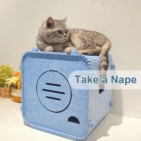 Cat House Lovely and Warm Bed for Indoor Cats and Dogs,Enclosed Bed Scractch Resistant Peekaboo House,Perfect Size for Your Little Kitten up to 22.lbs,Blue with a Size of 11.8" D x 13.7" W x 14.2" H in Saudi Arabia